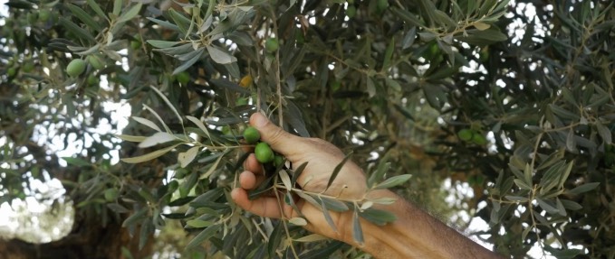 48 Resisting the big settlement + Where the Wind Blows - London Palestine Film Festival