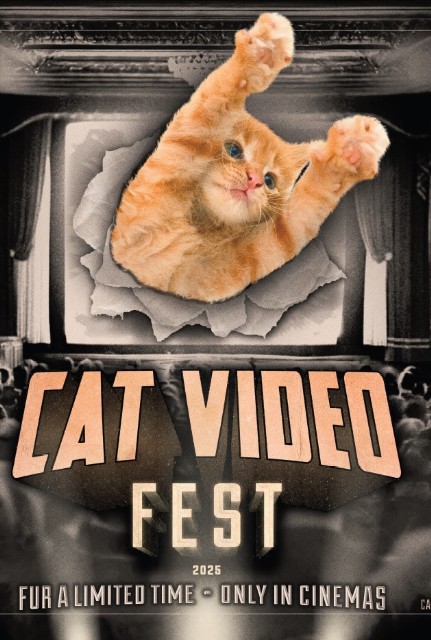 Cat Video Fest 2026