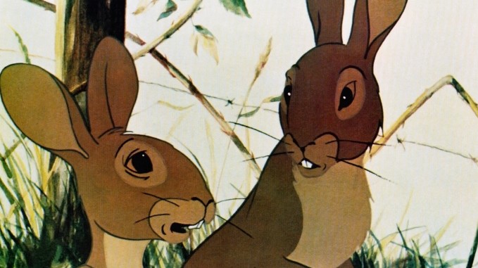 Watership Down- Birthday Season